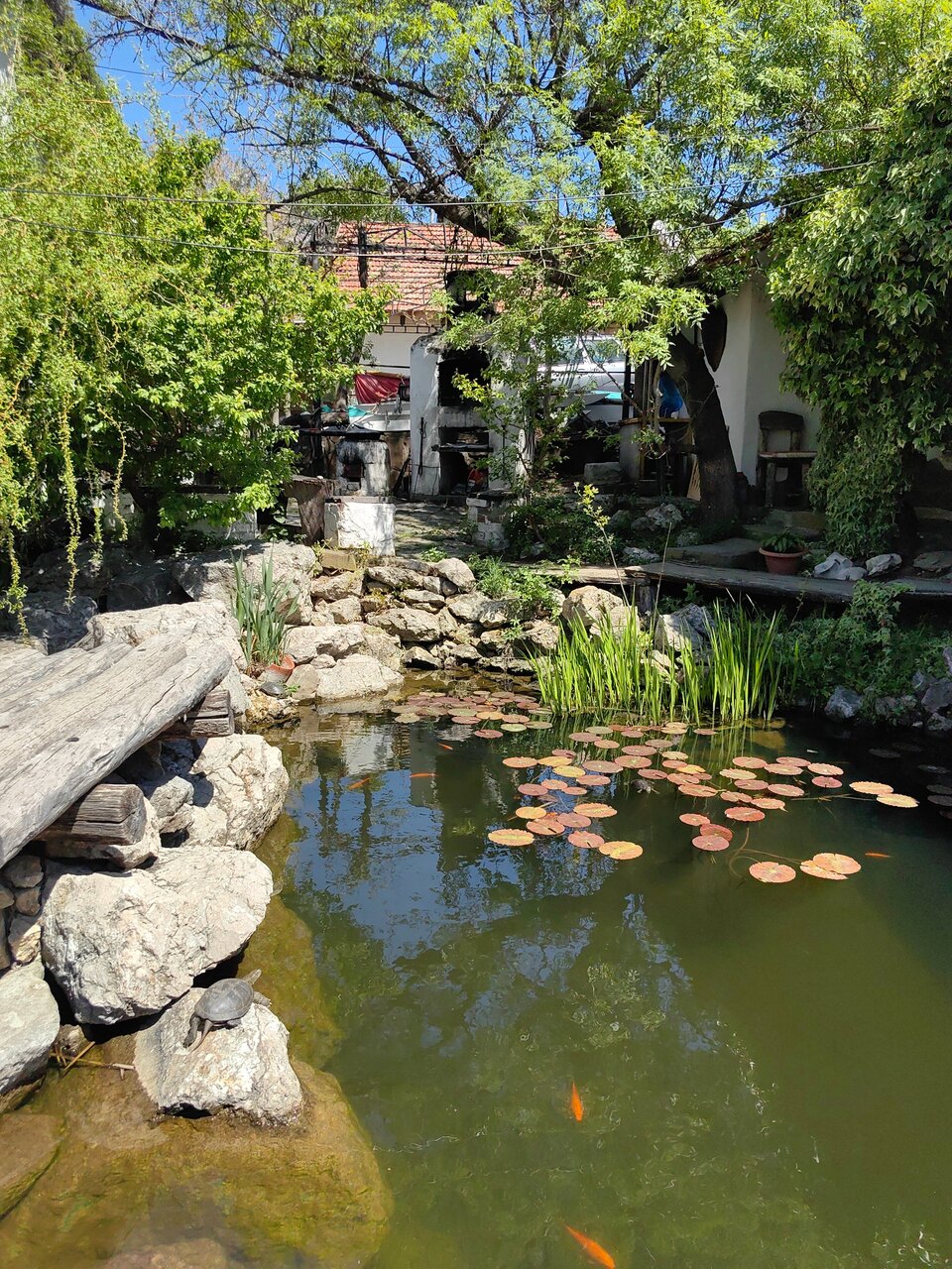 Гостевой дом Усадьба Коктебель-171