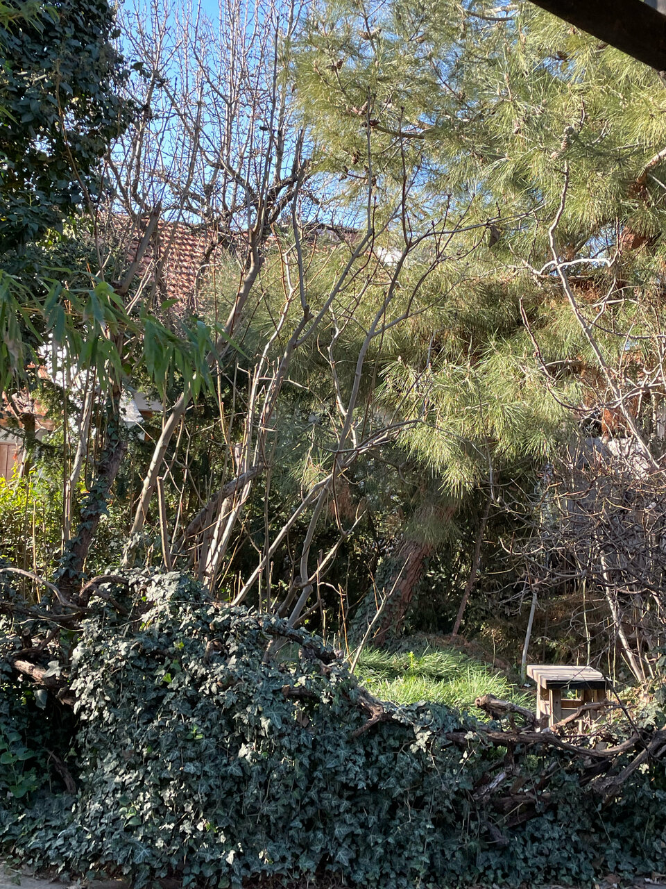 Гостевой дом Усадьба Коктебель-178