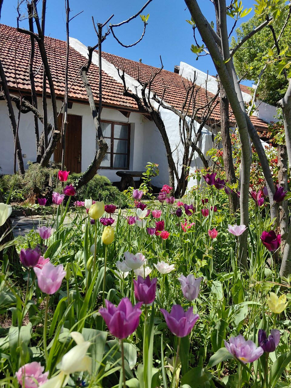 Гостевой дом Усадьба Коктебель-160