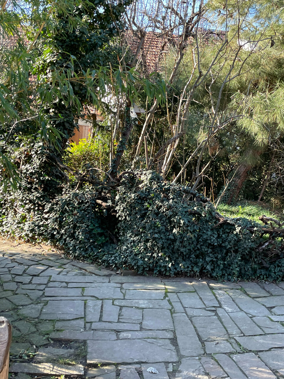 Гостевой дом Усадьба Коктебель-170