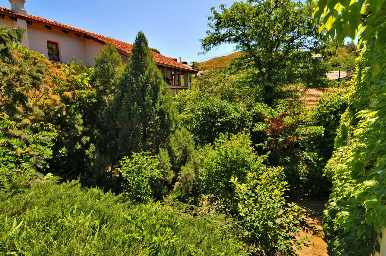 Гостевой дом Усадьба Коктебель-139