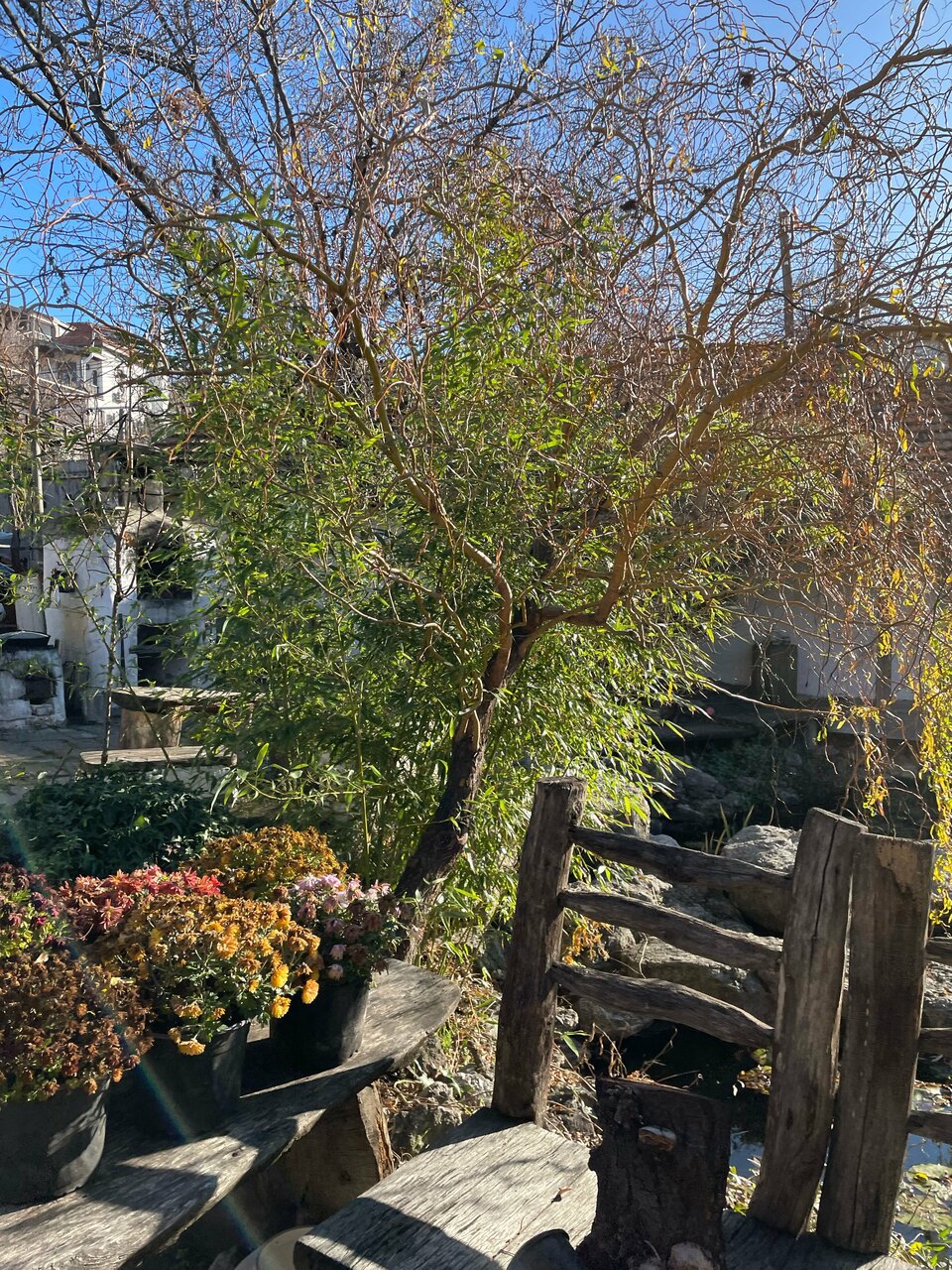 Гостевой дом Усадьба Коктебель-165