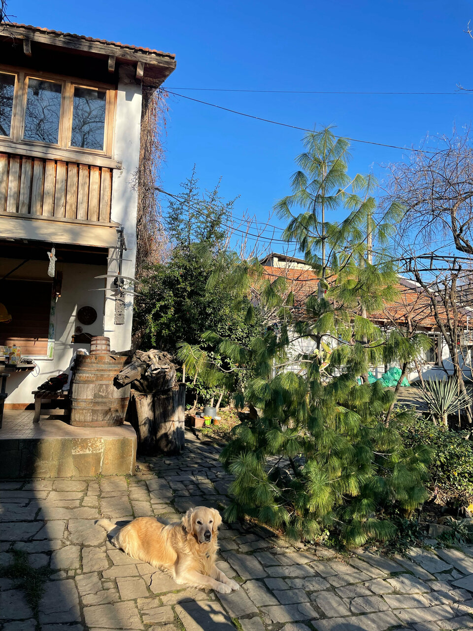 Гостевой дом Усадьба Коктебель-180