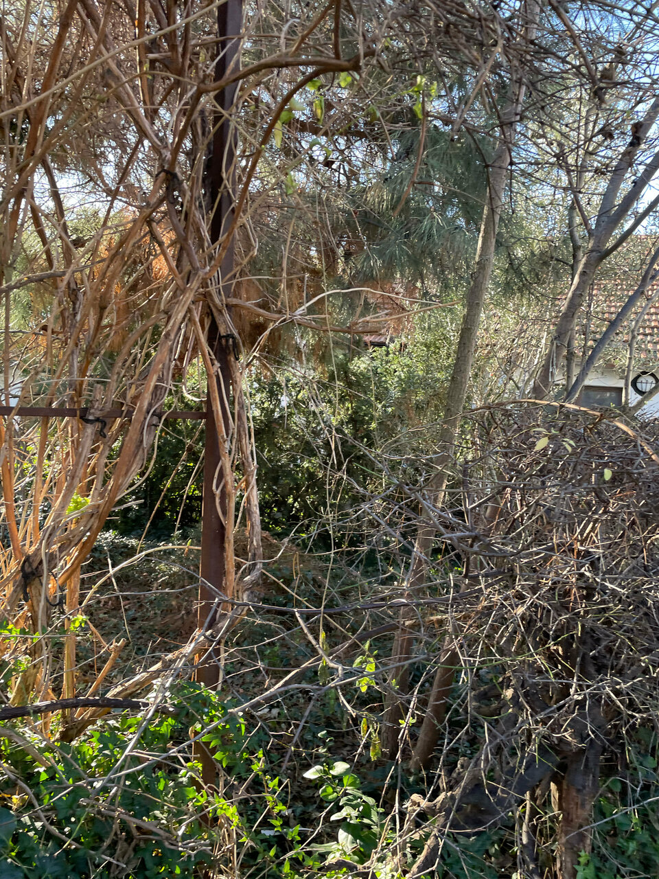 Гостевой дом Усадьба Коктебель-174