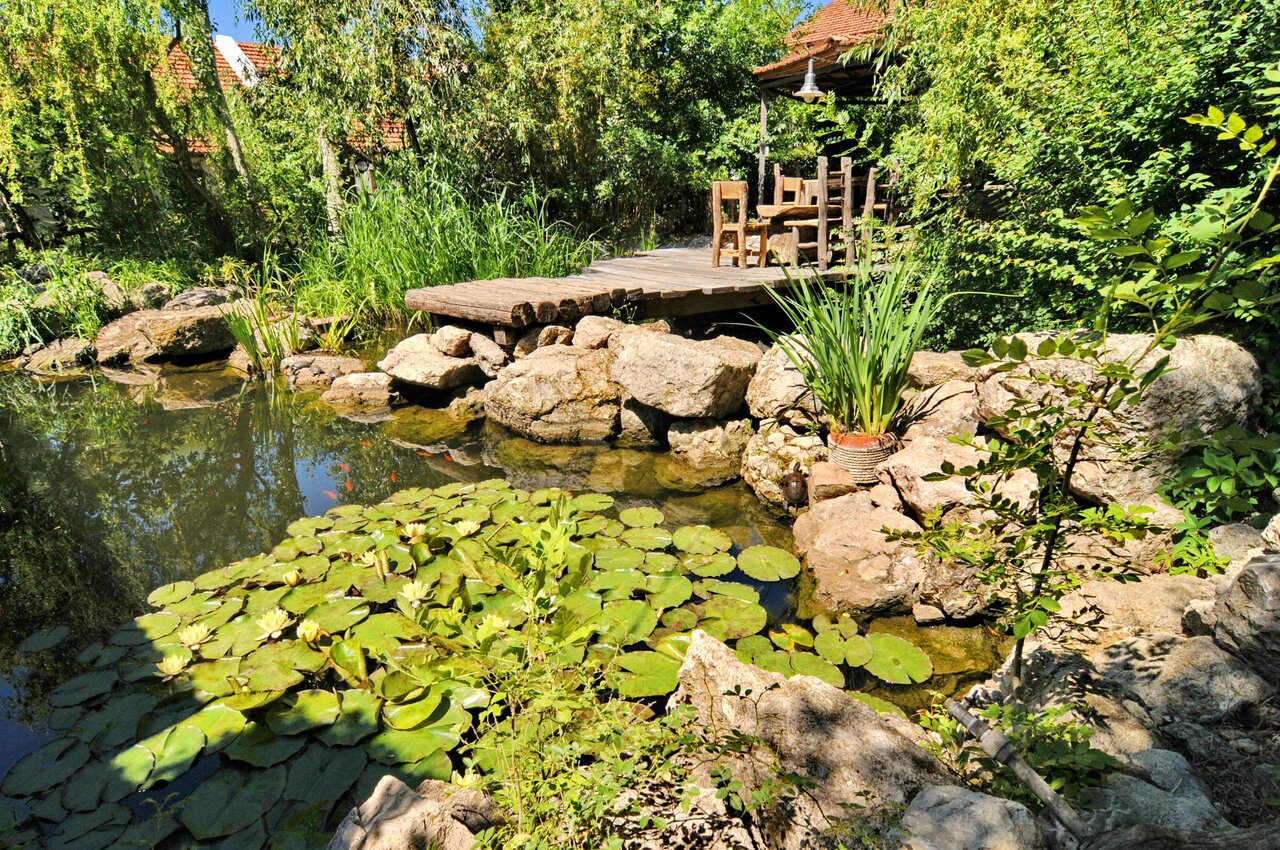 Гостевой дом Усадьба Коктебель-122