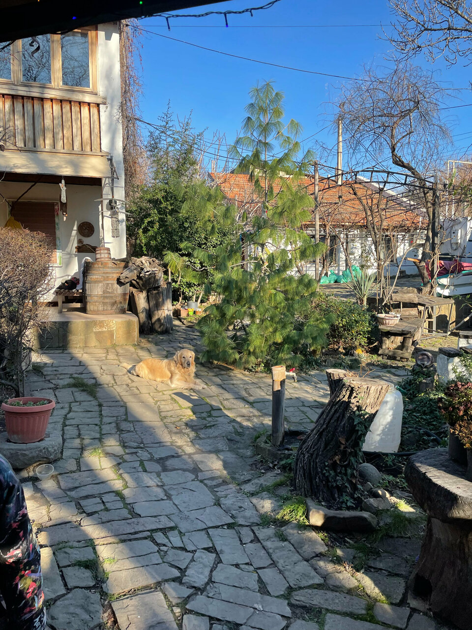 Гостевой дом Усадьба Коктебель-181