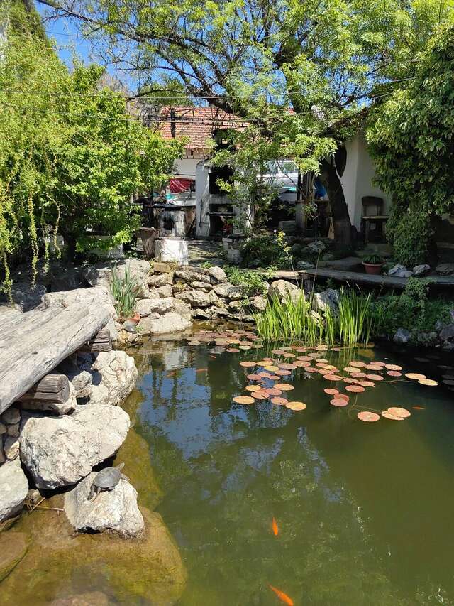 Гостевой дом Усадьба Коктебель-170