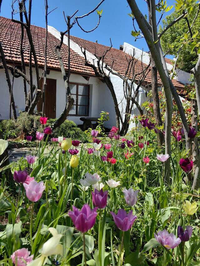 Гостевой дом Усадьба Коктебель-159