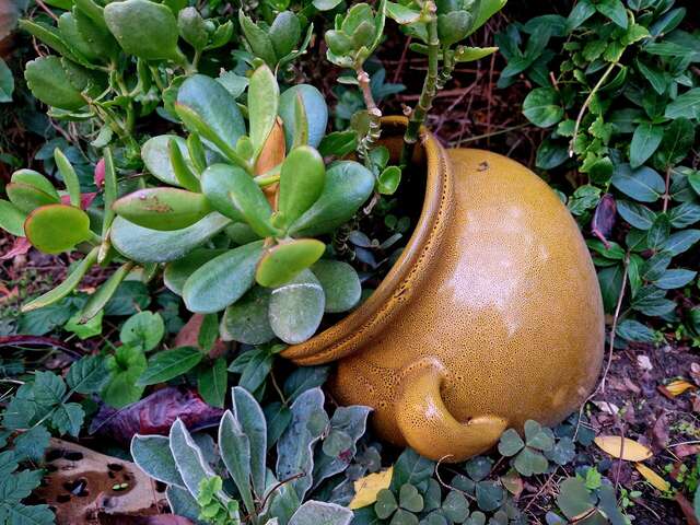 Гостевой дом Усадьба Коктебель-156