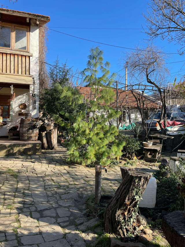 Гостевой дом Усадьба Коктебель-175