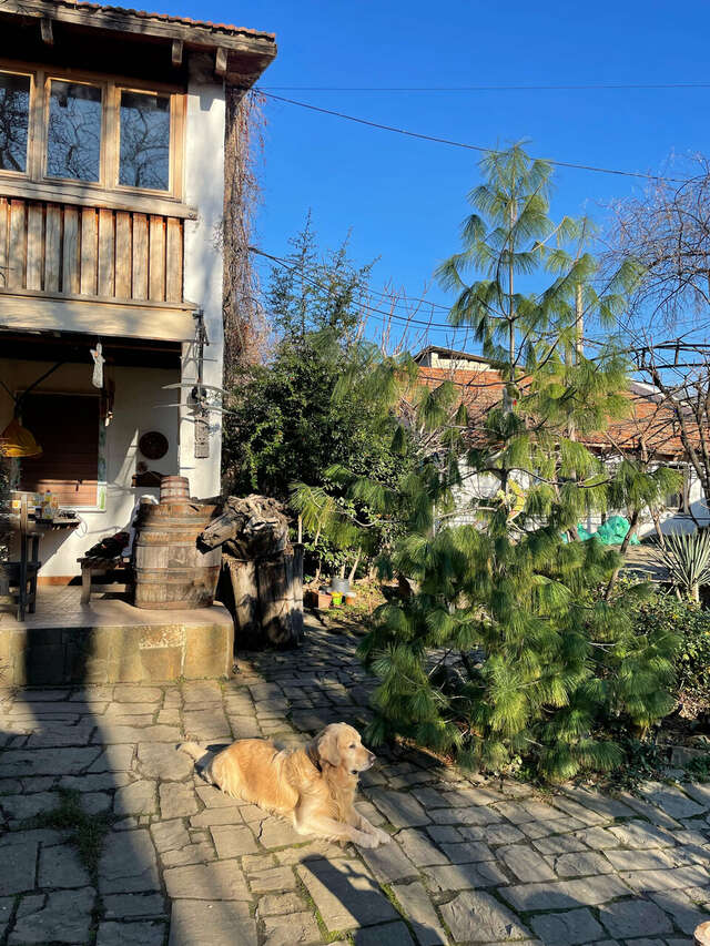 Гостевой дом Усадьба Коктебель-166