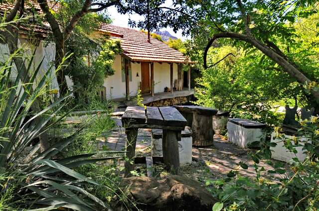 Гостевой дом Усадьба Коктебель-145