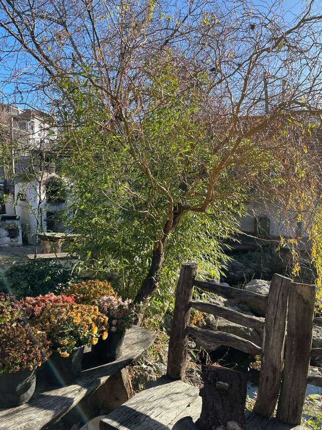 Гостевой дом Усадьба Коктебель-164