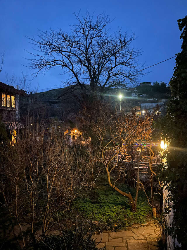 Гостевой дом Усадьба Коктебель-161