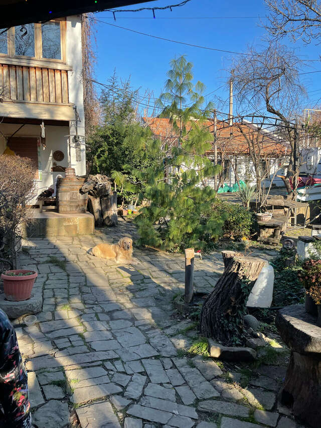 Гостевой дом Усадьба Коктебель-180