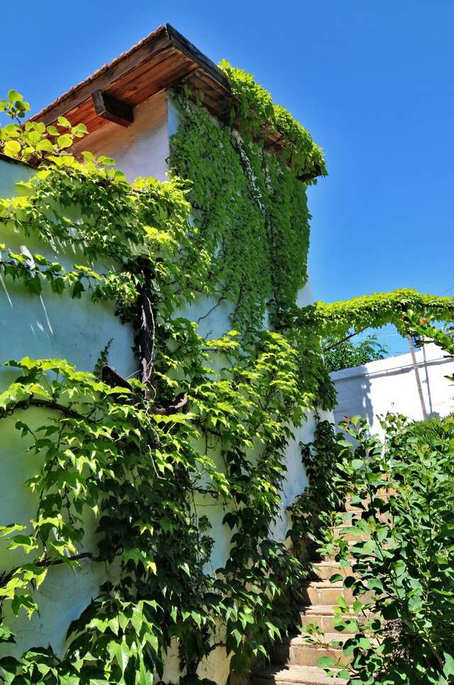 Гостевой дом Усадьба Коктебель-123