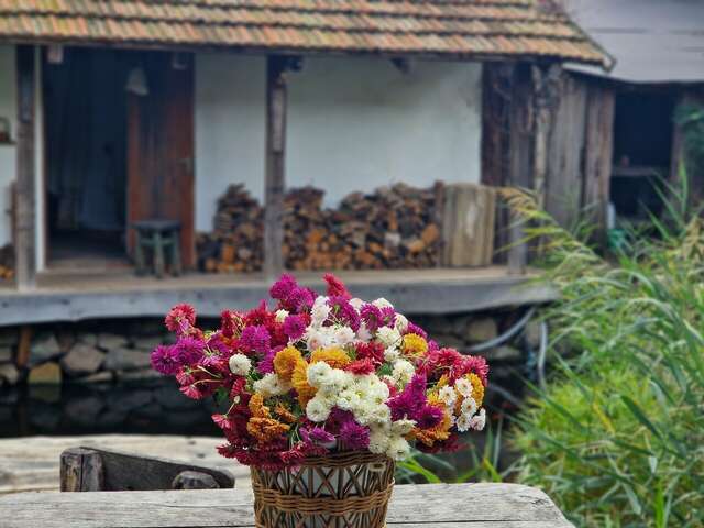 Гостевой дом Усадьба Коктебель-152